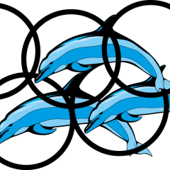 MXT Dolphin Rings Logo